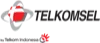 Telkomsel Data